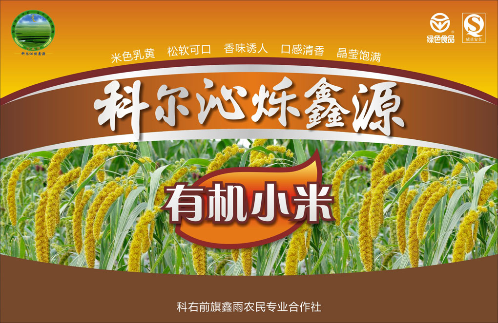 橙色小.jpg